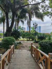 福建福州閩江公園 ｜ 探秘閩江風光，領略榕城魅力。