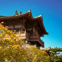 太山紅葉之旅。