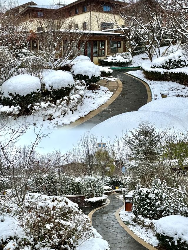 下雪去泡溫泉簡直不要太享受！。