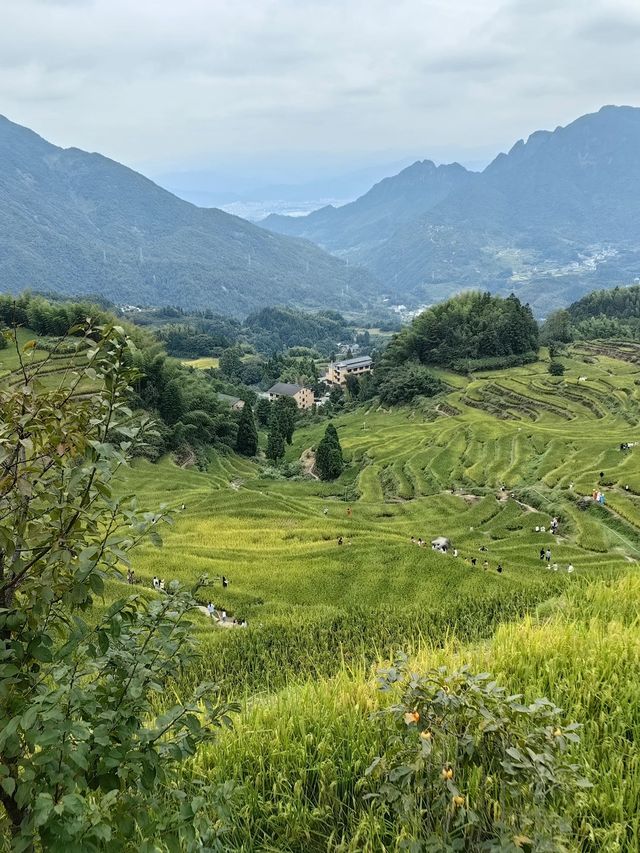 3天玩轉麗水 美景全攻略必收藏 3天玩轉麗水 美景全攻略必收藏