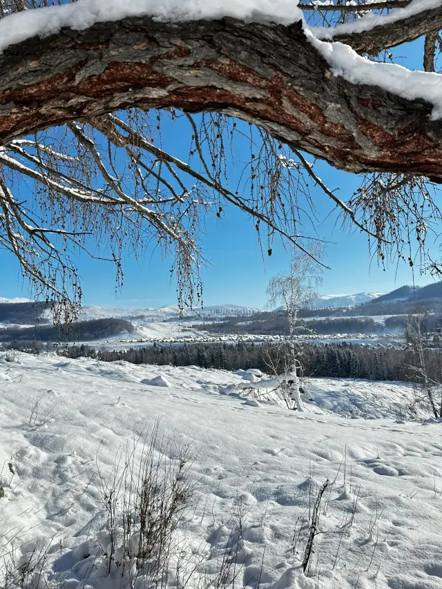 Northern Xinjiang - Urumqi Citywalk | A Unique Winter Adventure