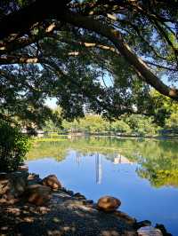 好像遇到了綠光森林！不敢相信這是荔枝公園