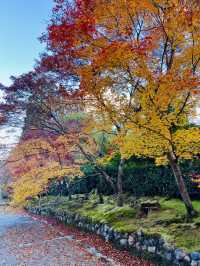 日本·京都嵐山二尊院
