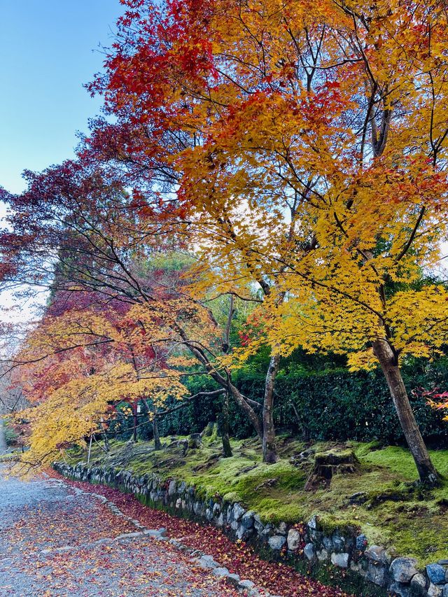 日本·京都嵐山二尊院