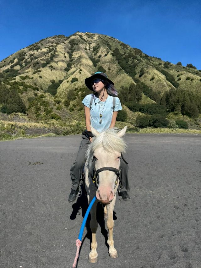 無敵特種兵的充實旅行