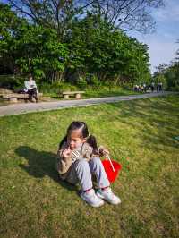 寶藏公園、超好玩彩虹滑道、兒童樂園 玩得停不下來！