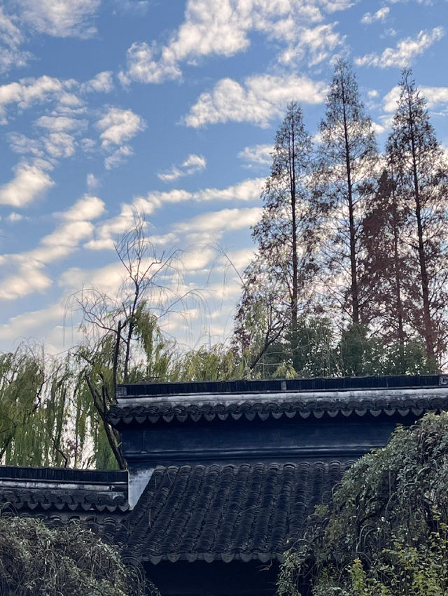 我心中的真江南——南浔古鎮