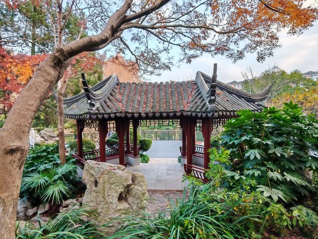 靜安區歷史最悠久的公園 - 閘北公園 - 我還是第一次去呢！