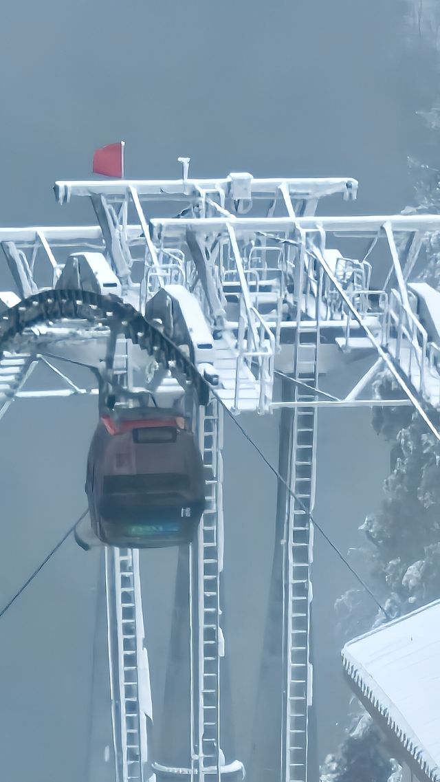 賞雪光霧山，邂逅夢幻冬景