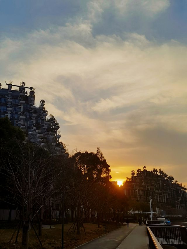 在千樹的夕陽中,重拾人與自然的和諧共生 在千樹的夕陽中,重拾人與自然的和諧共生