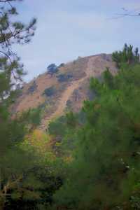 「【徒步天堂】陳平山：小眾秘境，與自然親密接觸的絕佳去處！」