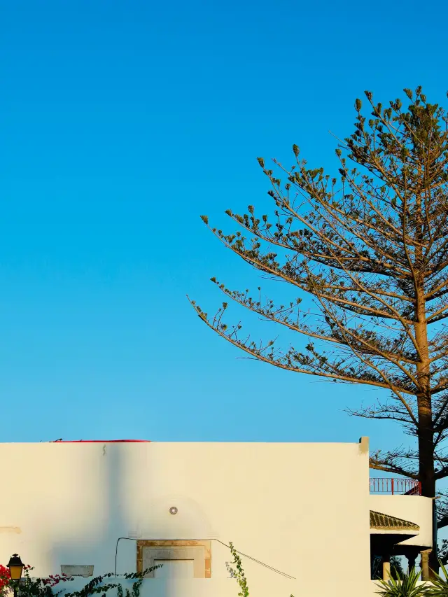 寒假突尼斯等多國連遊 解鎖冬日異國風情