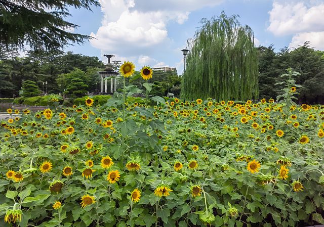 名古屋鶴舞公園：一場絕美的旅行之旅