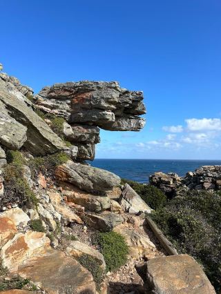 Spring Festival Travel Guide: South Africa and More!