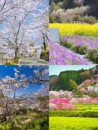 高知市：邂逅日本的別樣風情