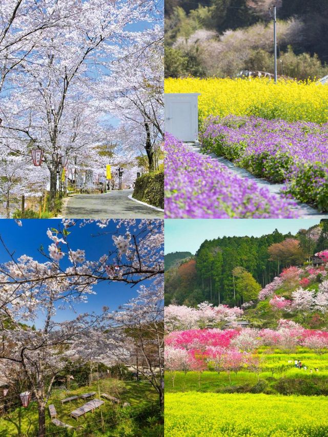 高知市：邂逅日本的別樣風情