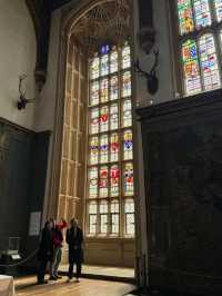 Explore Hampton Court Before Tulip Season Ends