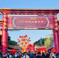 逛逛深圳2025迎春花市@羅湖愛國路花市