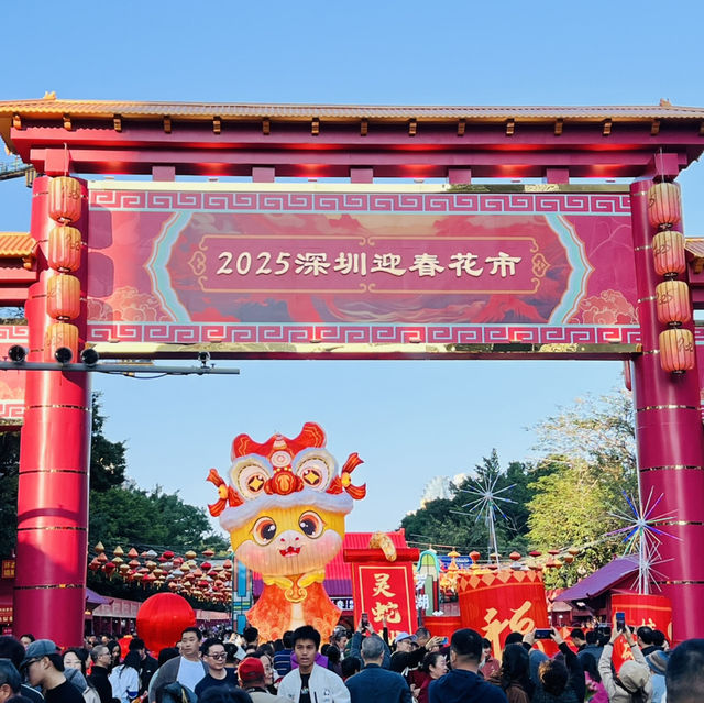 逛逛深圳2025迎春花市@羅湖愛國路花市