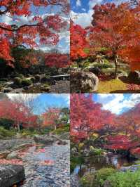 精華總結日本堺市旅遊實用攻略篇