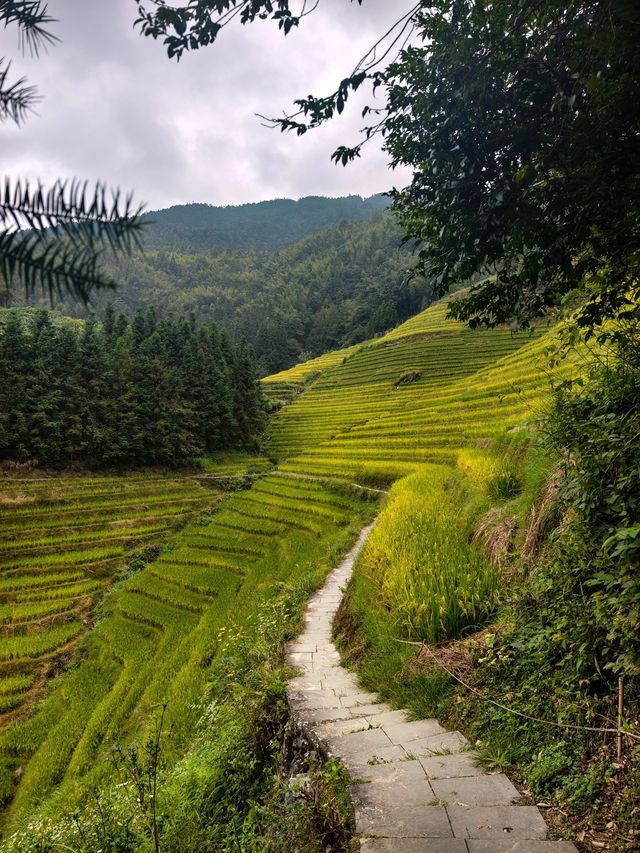 5日玩轉桂林必看的旅行全攻略