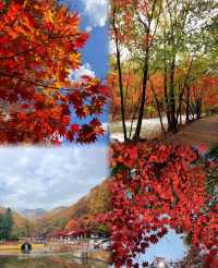 本溪｜關門山森林公園——真正的天然氧吧