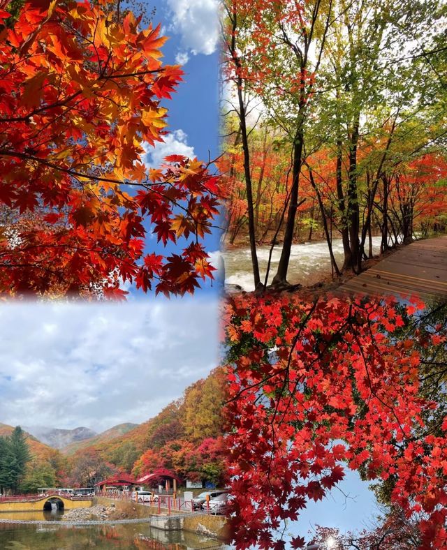 本溪｜關門山森林公園——真正的天然氧吧