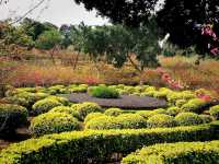 XiQiao Mountain: Evergreen Realm of Guanying Goddess