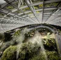 Cloud Forest is a MUST SEE!