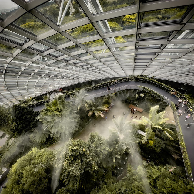 Cloud Forest is a MUST SEE!