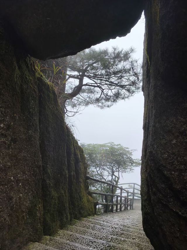 江西風景獨好：吉安·羊獅慕