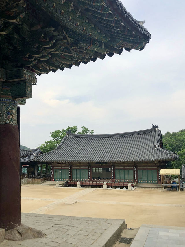 走進大邱桐華寺｜感受寧靜與祥和