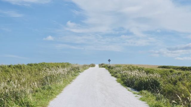 探索日本最北秘境：稚內禮文島奇幻之旅
