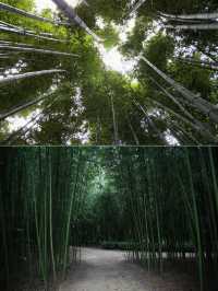 韓國蔚山：打破時間的枷鎖