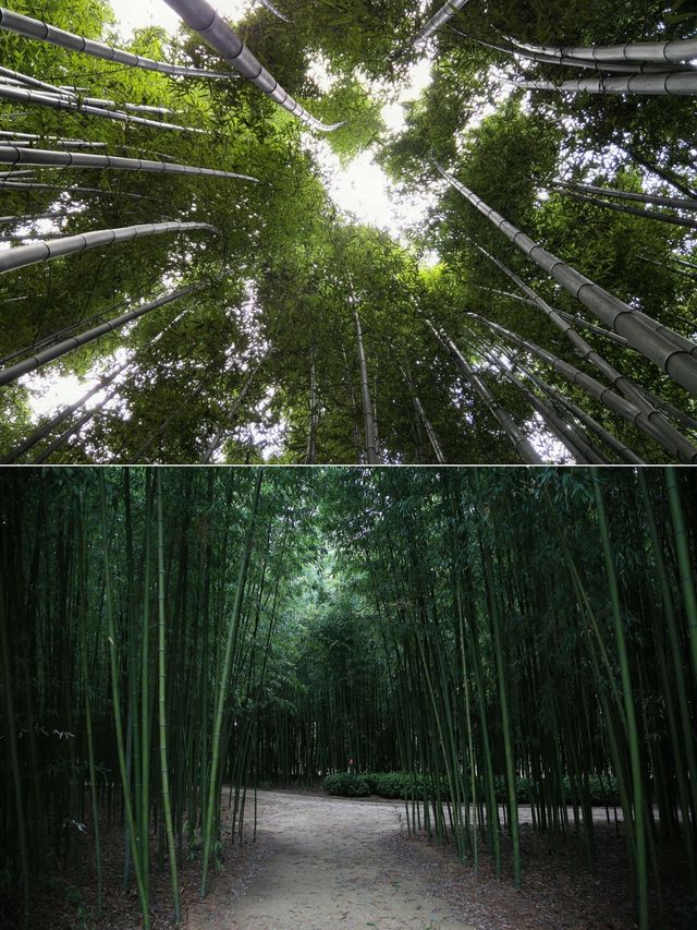 韓國蔚山：打破時間的枷鎖