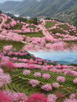 2025 Meizhou Attraction] Travel Guide for Yinna Mountain