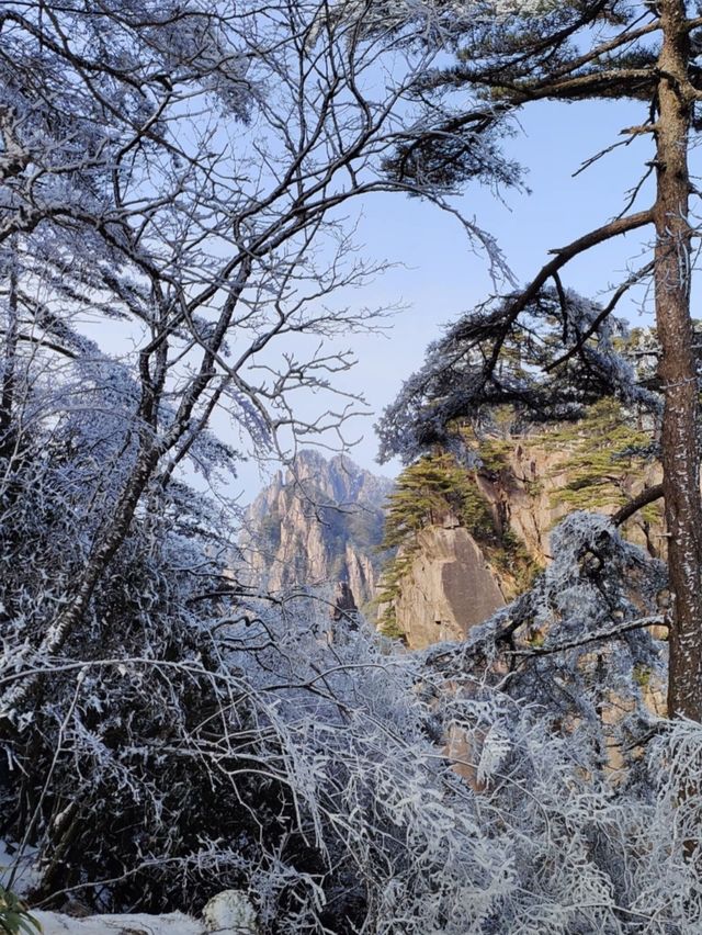 徐霞客誠不欺我：登黃山 天下無山！觀止矣！