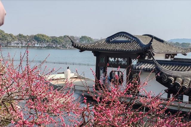 梅花