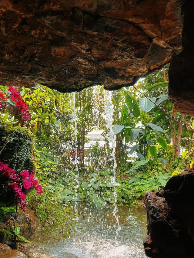 鄭州的春和景明從植物園的溫室開始