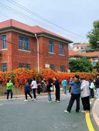 春日華新路，在時光裡尋一抹明媚