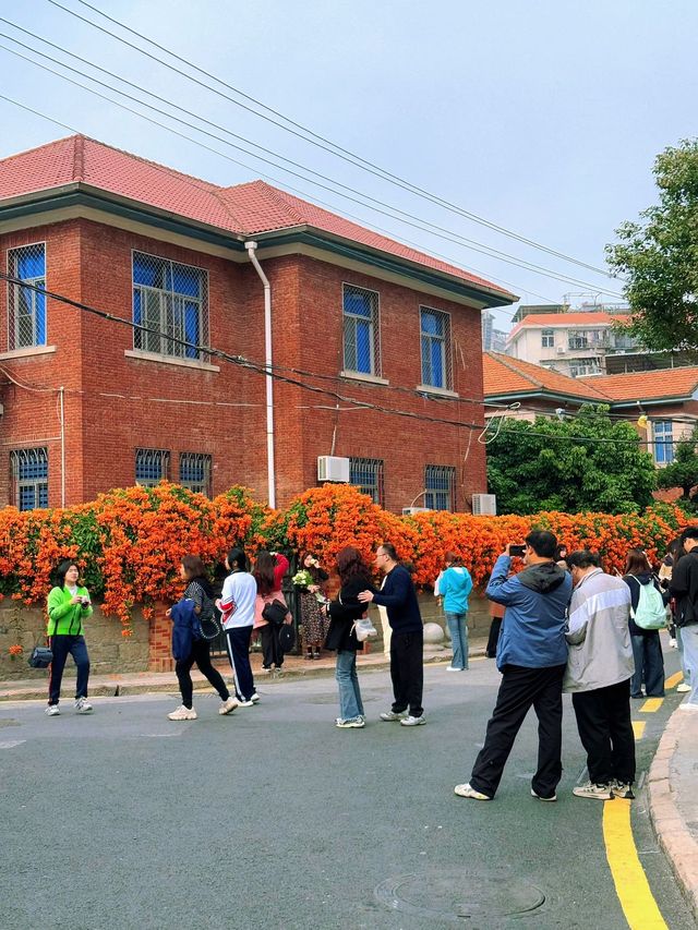 春日華新路，在時光裡尋一抹明媚