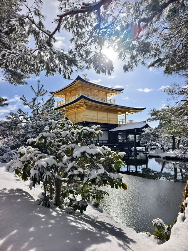 日本6天遊 超詳細攻略來啦