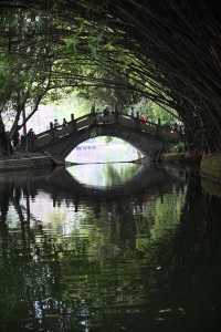 成都棠湖公園｜海棠花即將迎來最佳觀賞期！