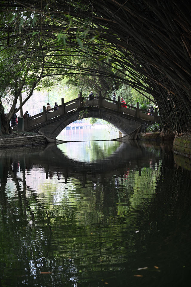 成都棠湖公園｜海棠花即將迎來最佳觀賞期！