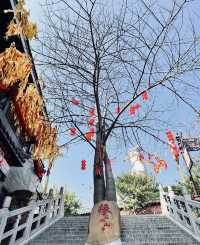 東莞觀音山森林公園休閒娛樂好去處
