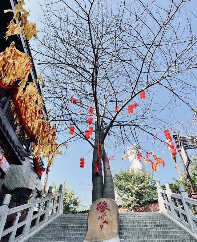 東莞觀音山森林公園休閒娛樂好去處