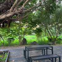 台北交換生活 | 邂逅松山文創園的美好時光✨