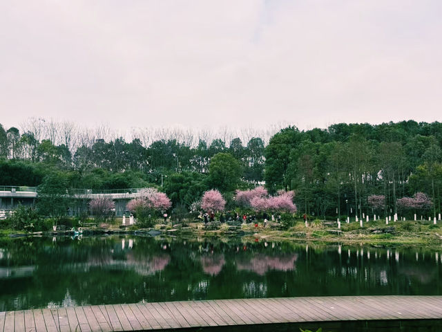 重慶市著名公園景點：禮嘉智慧公園，適合拍照打卡親子遊戲、週末閒暇度假地！