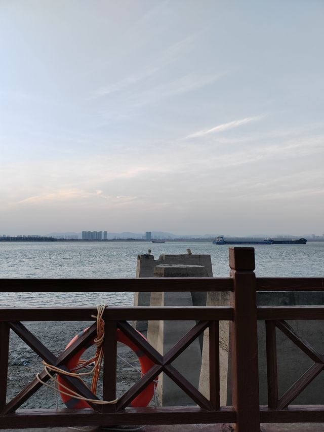 魚嘴濕地公園：邂逅江邊的自然秘境