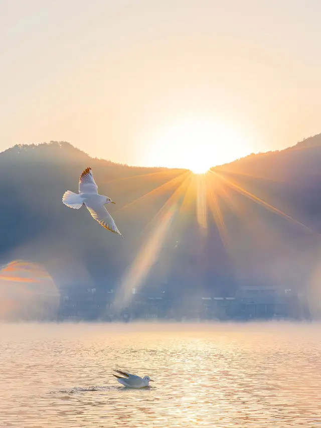 A Super Detailed Guide to a 2-Day Trip to Lijiang: Must-Read to Avoid Tourist Traps